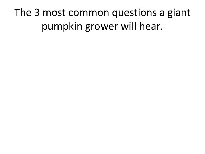 The 3 most common questions a giant pumpkin grower will hear. 