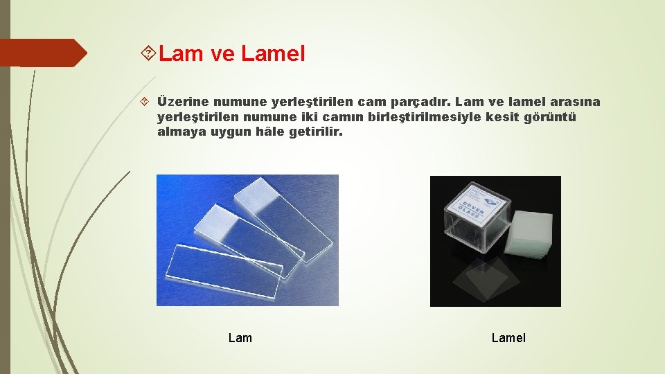  Lam ve Lamel Üzerine numune yerleştirilen cam parçadır. Lam ve lamel arasına yerleştirilen