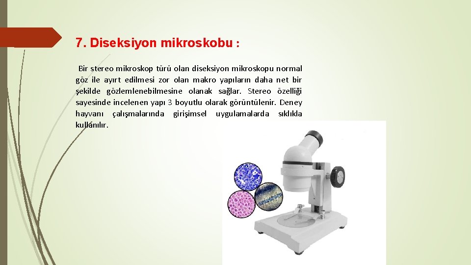 7. Diseksiyon mikroskobu : Bir stereo mikroskop türü olan diseksiyon mikroskopu normal göz ile