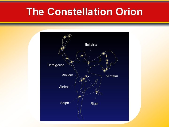 The Constellation Orion 