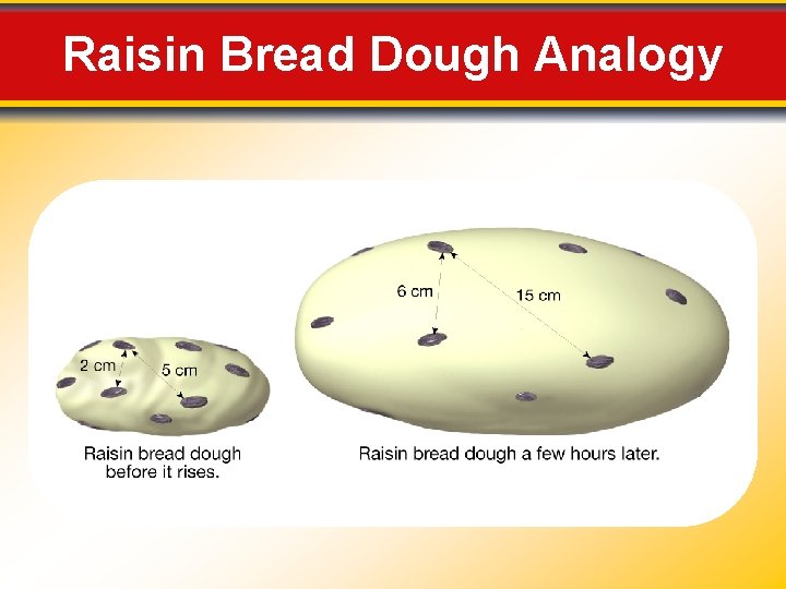 Raisin Bread Dough Analogy 