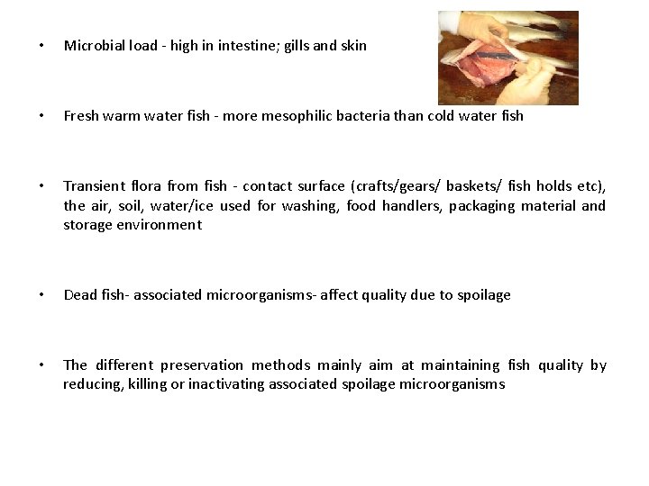  • Microbial load - high in intestine; gills and skin • Fresh warm