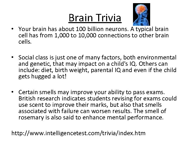 Brain Trivia • Your brain has about 100 billion neurons. A typical brain cell
