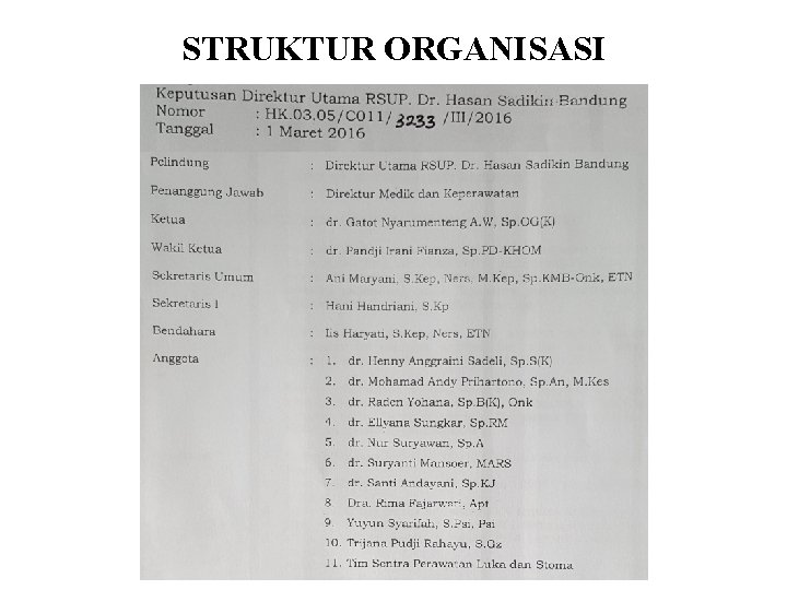 STRUKTUR ORGANISASI 