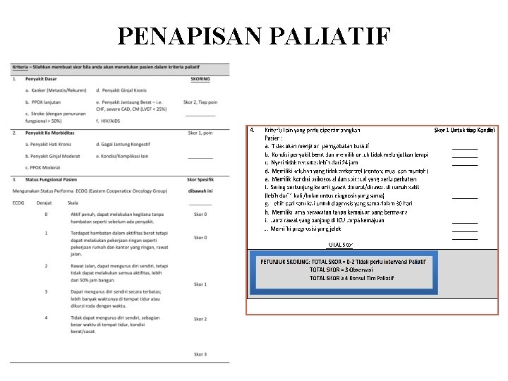 PENAPISAN PALIATIF 