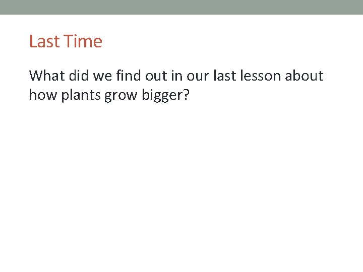 Last Time What did we find out in our last lesson about how plants