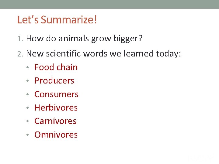 Let’s Summarize! 1. How do animals grow bigger? 2. New scientific words we learned