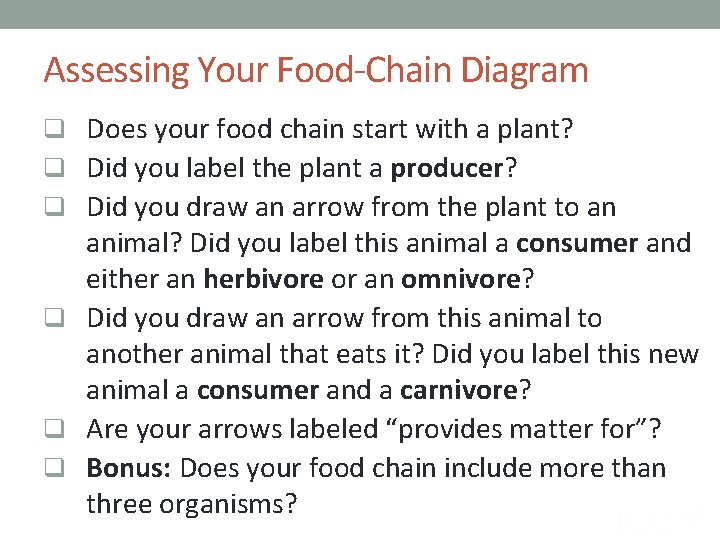 Assessing Your Food-Chain Diagram q Does your food chain start with a plant? q