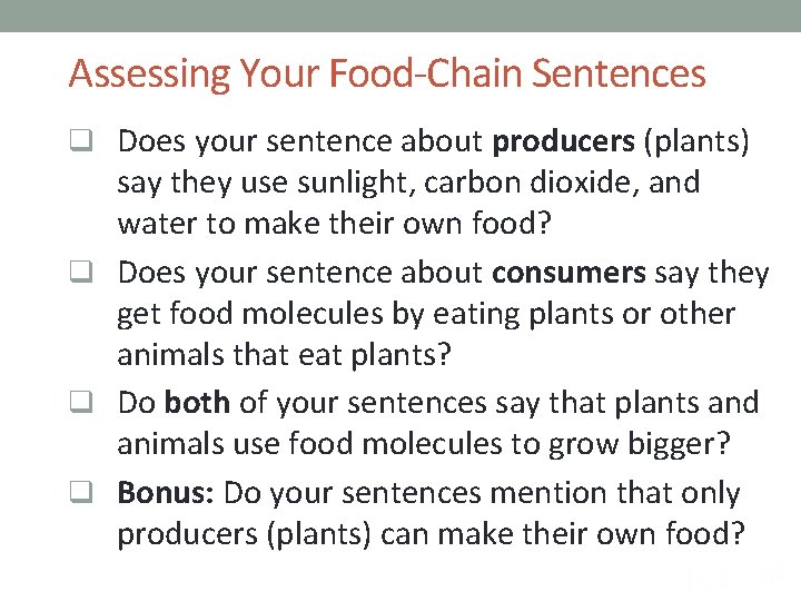 Assessing Your Food-Chain Sentences q Does your sentence about producers (plants) say they use