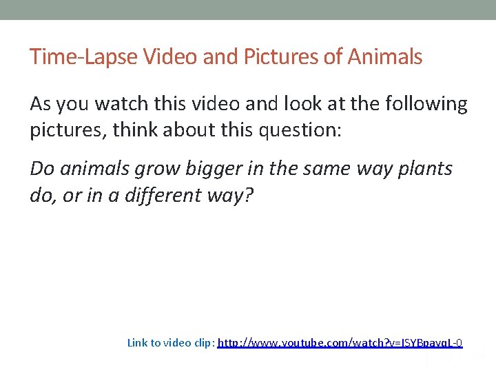 Time-Lapse Video and Pictures of Animals As you watch this video and look at