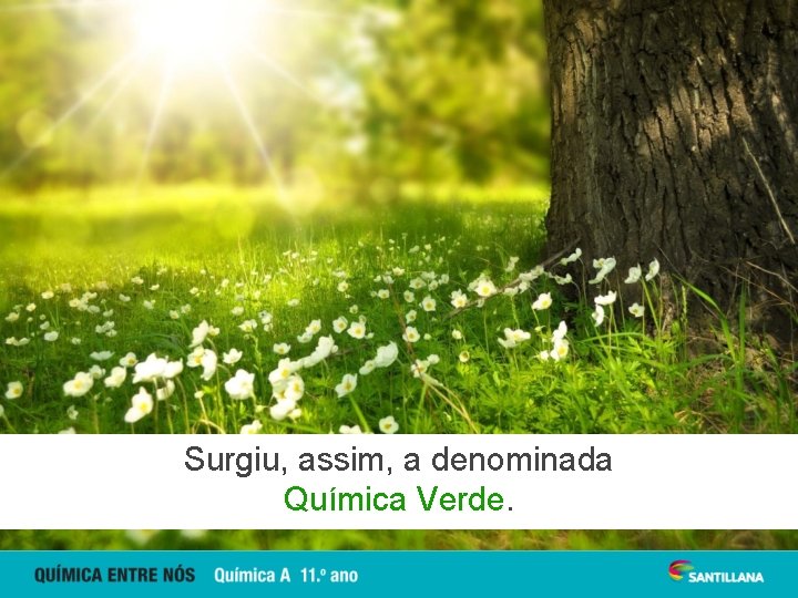 Surgiu, assim, a denominada Química Verde. 