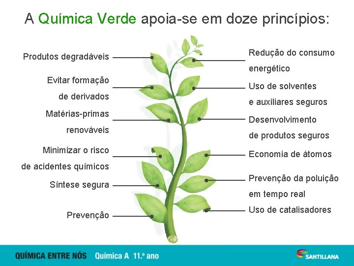 A Química Verde apoia-se em doze princípios: Produtos degradáveis Redução do consumo energético Evitar