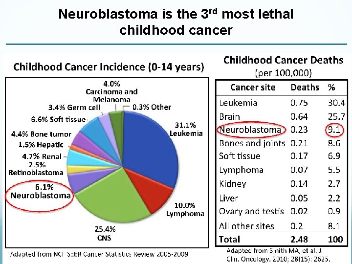 Neuroblastoma is the 3 rd most lethal childhood cancer 