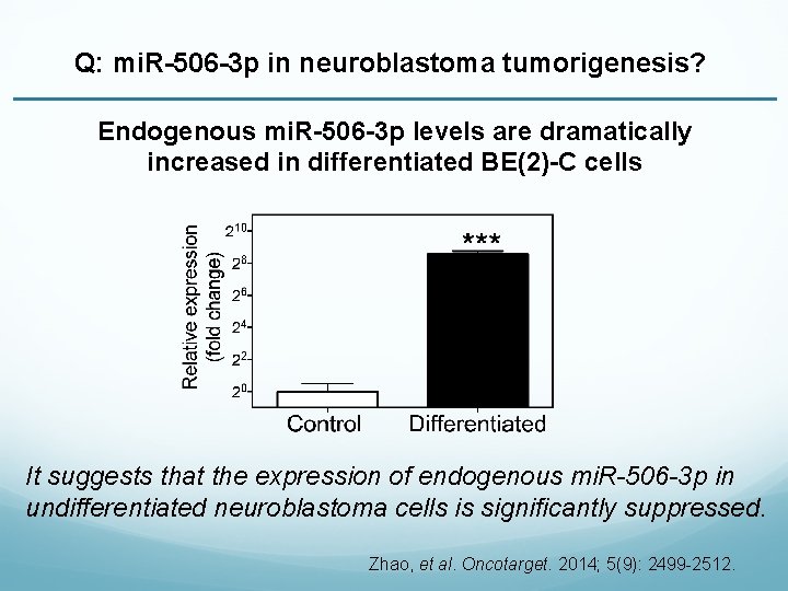 Q: mi. R-506 -3 p in neuroblastoma tumorigenesis? Endogenous mi. R-506 -3 p levels