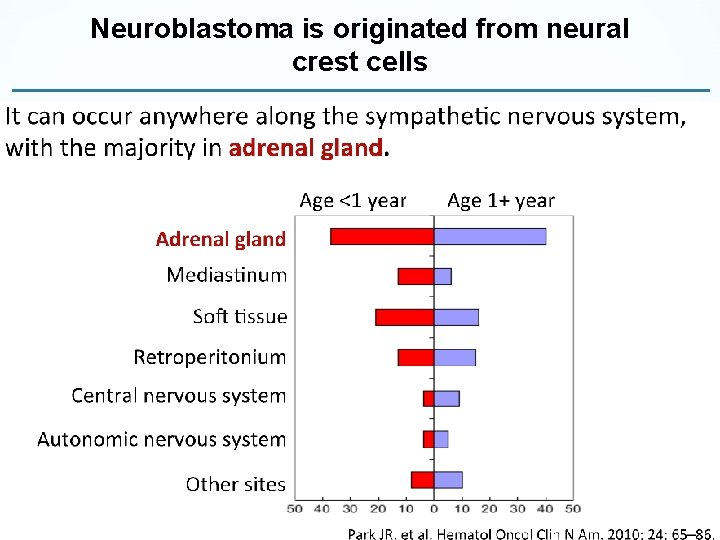 Neuroblastoma is originated from neural crest cells 