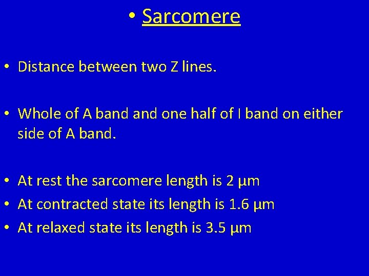 • Sarcomere • Distance between two Z lines. • Whole of A band • Sarcomere • Distance between two Z lines. • Whole of A band