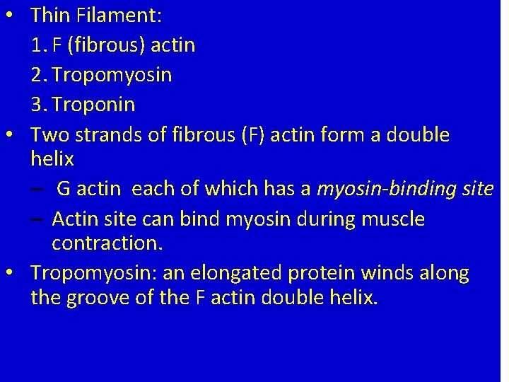 • Thin Filament: Actin (Thin) 1. F (fibrous) actin Myofilaments 2. Tropomyosin 3. • Thin Filament: Actin (Thin) 1. F (fibrous) actin Myofilaments 2. Tropomyosin 3.