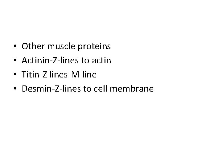 • • Other muscle proteins Actinin-Z-lines to actin Titin-Z lines-M-line Desmin-Z-lines to cell • • Other muscle proteins Actinin-Z-lines to actin Titin-Z lines-M-line Desmin-Z-lines to cell