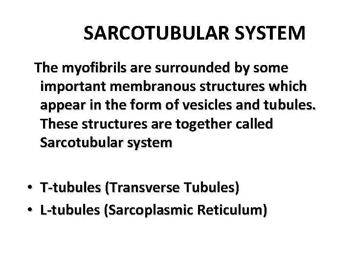 SARCOTUBULAR SYSTEM The myofibrils are surrounded by some important membranous structures which appear in SARCOTUBULAR SYSTEM The myofibrils are surrounded by some important membranous structures which appear in