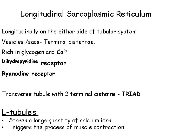 Longitudinal Sarcoplasmic Reticulum Longitudinally on the either side of tubular system Vesicles /sacs- Terminal Longitudinal Sarcoplasmic Reticulum Longitudinally on the either side of tubular system Vesicles /sacs- Terminal