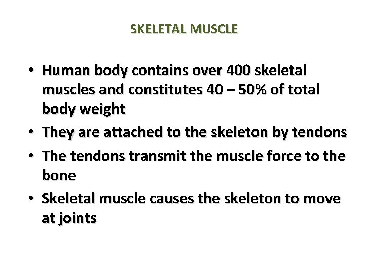 SKELETAL MUSCLE • Human body contains over 400 skeletal muscles and constitutes 40 – SKELETAL MUSCLE • Human body contains over 400 skeletal muscles and constitutes 40 –