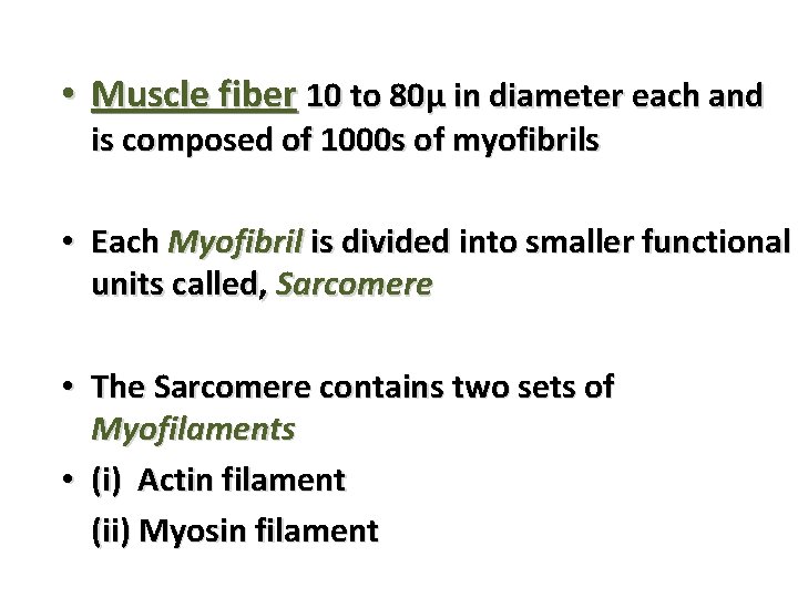 • Muscle fiber 10 to 80μ in diameter each and is composed of • Muscle fiber 10 to 80μ in diameter each and is composed of