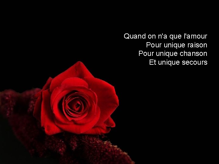 Quand on n'a que l'amour Pour unique raison Pour unique chanson Et unique secours Quand on n'a que l'amour Pour unique raison Pour unique chanson Et unique secours