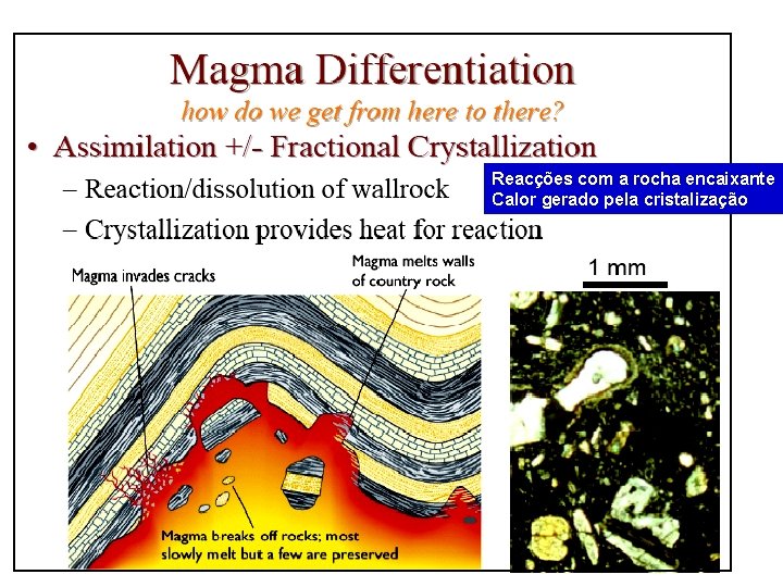 Reacções com a rocha encaixante Calor gerado pela cristalização 