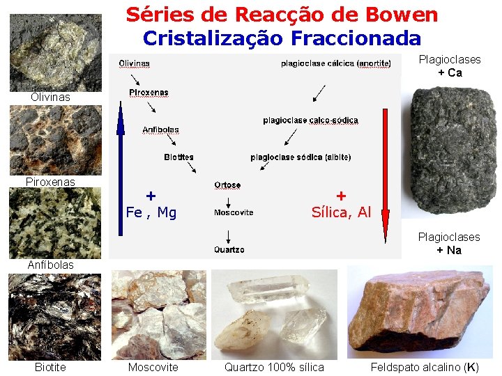 Séries de Reacção de Bowen Cristalização Fraccionada Plagioclases + Ca Olivinas Piroxenas + Fe