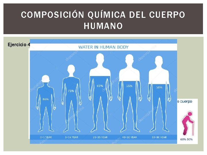 COMPOSICIÓN QUÍMICA DEL CUERPO HUMANO Ejercicio 4 : Diseña un diagrama circular Tipo de