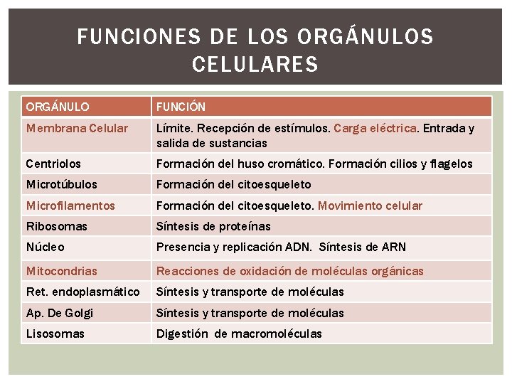 FUNCIONES DE LOS ORGÁNULOS CELULARES ORGÁNULO FUNCIÓN Membrana Celular Límite. Recepción de estímulos. Carga
