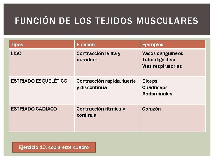 FUNCIÓN DE LOS TEJIDOS MUSCULARES Tipos Función Ejemplos LISO Contracción lenta y duradera Vasos