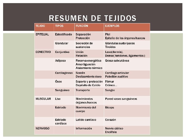 RESUMEN DE TEJIDOS 