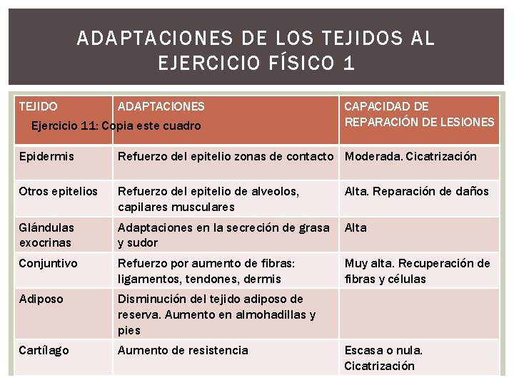 ADAPTACIONES DE LOS TEJIDOS AL EJERCICIO FÍSICO 1 TEJIDO ADAPTACIONES Ejercicio 11: Copia este