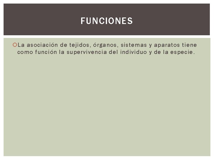 FUNCIONES La asociación de tejidos, órganos, sistemas y aparatos tiene como función la supervivencia
