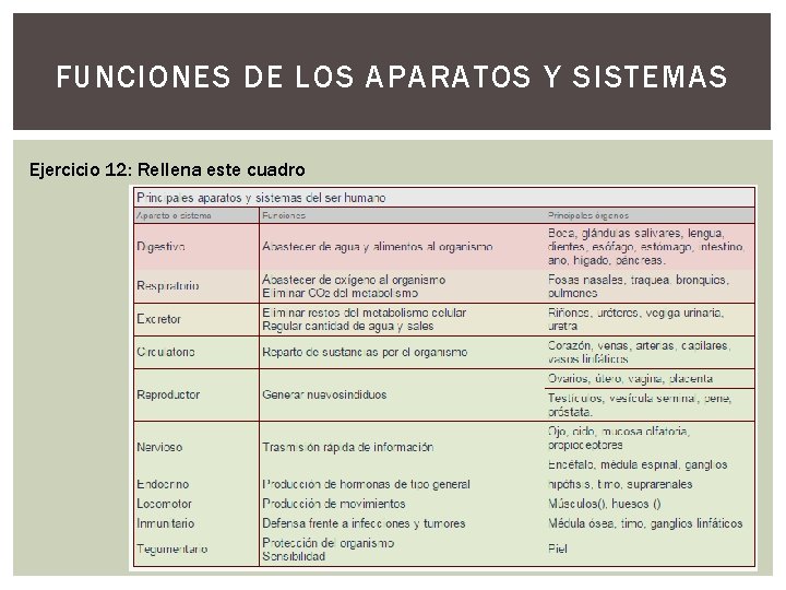 FUNCIONES DE LOS APARATOS Y SISTEMAS Ejercicio 12: Rellena este cuadro 