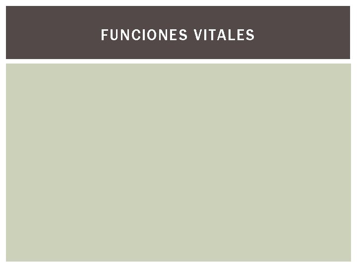 FUNCIONES VITALES 