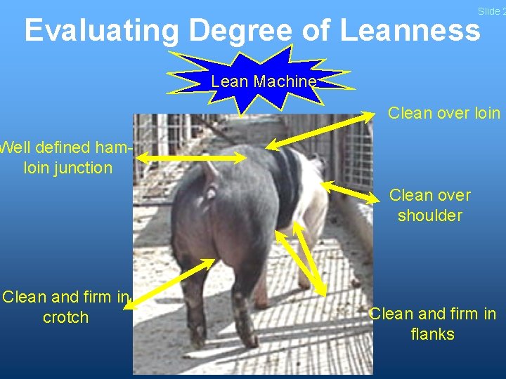 Slide 2 Evaluating Degree of Leanness Lean Machine Clean over loin Well defined hamloin