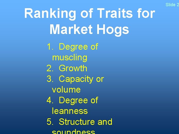 Ranking of Traits for Market Hogs 1. Degree of muscling 2. Growth 3. Capacity