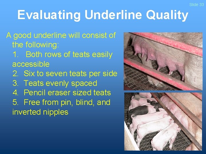 Slide 33 Evaluating Underline Quality A good underline will consist of the following: 1.