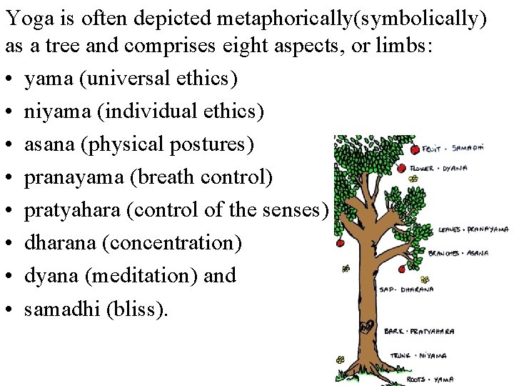 Yoga is often depicted metaphorically(symbolically) as a tree and comprises eight aspects, or limbs: