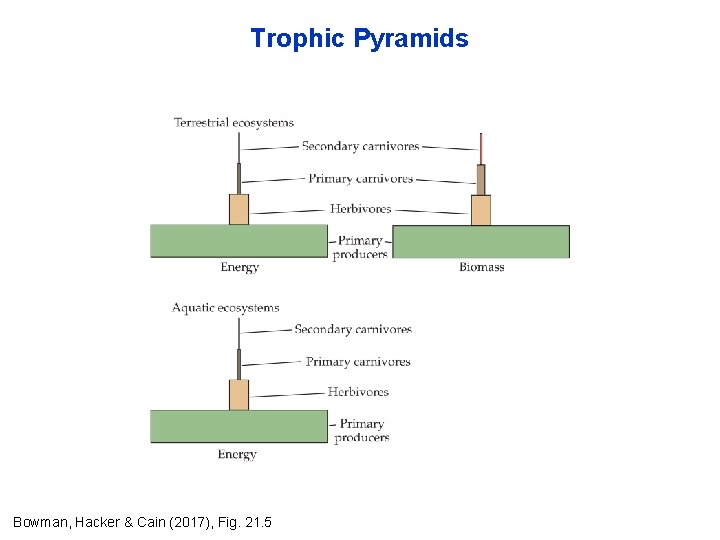 Trophic Pyramids Bowman, Hacker & Cain (2017), Fig. 21. 5 