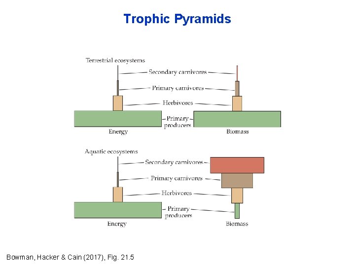 Trophic Pyramids Bowman, Hacker & Cain (2017), Fig. 21. 5 