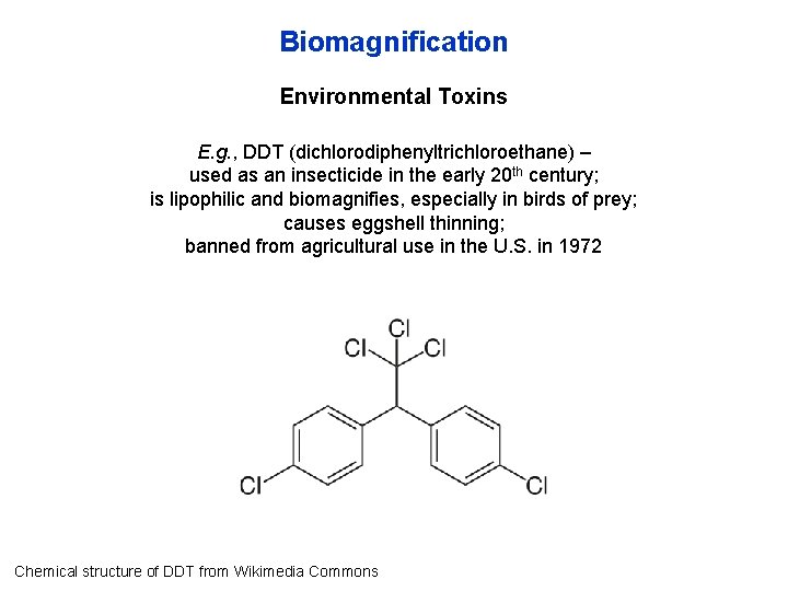 Biomagnification Environmental Toxins E. g. , DDT (dichlorodiphenyltrichloroethane) – used as an insecticide in