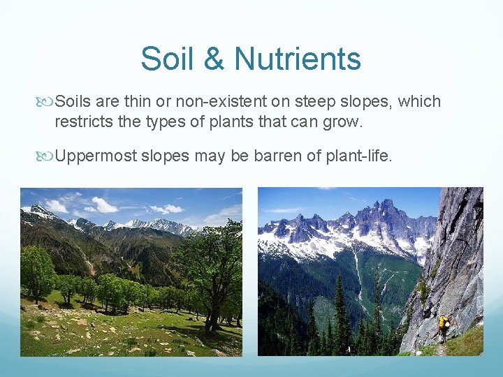 Soil & Nutrients Soils are thin or non-existent on steep slopes, which restricts the