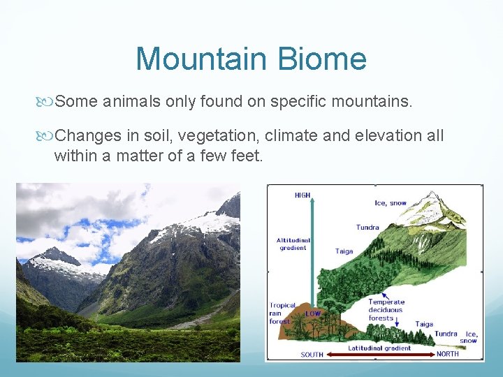 Mountain Biome Some animals only found on specific mountains. Changes in soil, vegetation, climate