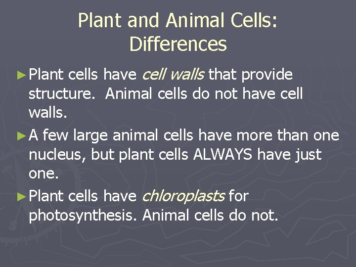 Plant and Animal Cells: Differences cells have cell walls that provide structure. Animal cells