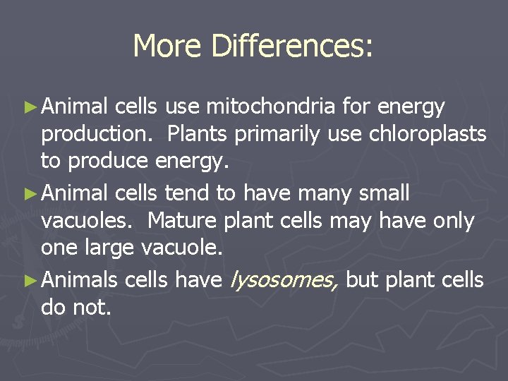 More Differences: ► Animal cells use mitochondria for energy production. Plants primarily use chloroplasts More Differences: ► Animal cells use mitochondria for energy production. Plants primarily use chloroplasts