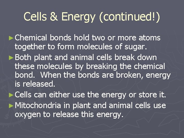 Cells & Energy (continued!) ► Chemical bonds hold two or more atoms together to