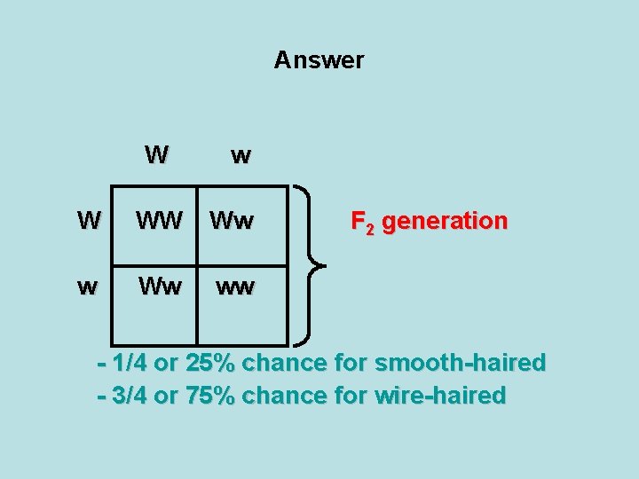 Answer W w W WW Ww ww F 2 generation - 1/4 or 25%